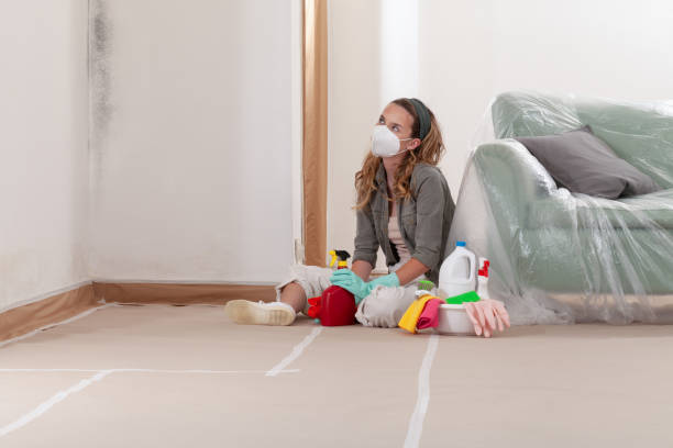 Reliable Black Mold Removal contractor in Kensington, MD by WQB Mold Removal